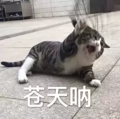 AI搜索一夜变天，专为Agent做搜索的赛道能否诞生百亿美金新巨头？(图1)