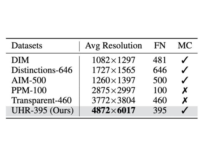 AAAI 2025 | 2080Ti也能4K图像抠图 !美图&北交大提出超高分辨率自然图像抠图算法MEMatte(图3)