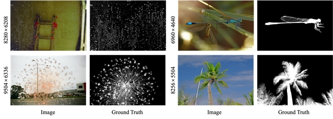 AAAI 2025 | 2080Ti也能4K图像抠图 !美图&北交大提出超高分辨率自然图像抠图算法MEMatte(图16)