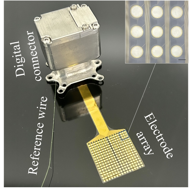 破解通用难题！首个高通量柔性脑机接口长期稳定植入研究成果发表(图2)