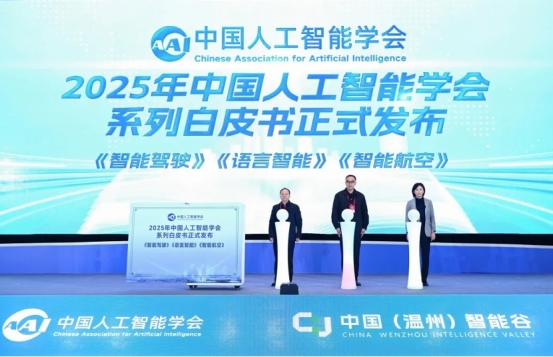 智汇瓯江 智引未来：2025中国人工智能数字创新大会在温州成功举办(图12)
