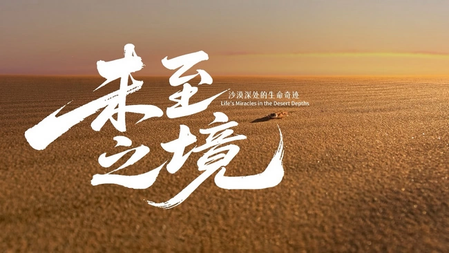 六年同行，再启新程：骁龙与中国国家地理共同推动跨移动终端自然影像创作(图5)