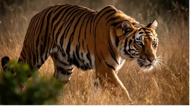 FLUX.2 图像生成模型发布，针对 NVIDIA RTX GPU 优化(图2)