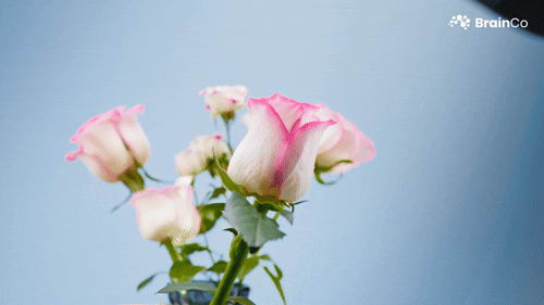 强脑科技荣膺具身智能产业双奖，工程化与协同能力获认可(图4)