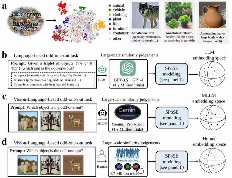 中国科学院科学家首次证实：大语言模型能像人类一样“理解”事物