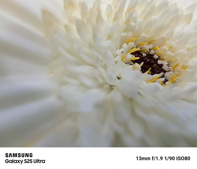 记录欢聚时光 三星Galaxy S25 Ultra实力定格节日光影(图3) 记录欢聚时光 三星Galaxy S25 Ultra实力定格节日光影(图3)