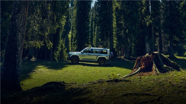 20万左右买什么车好最新推荐，新能源SUV实力派车型详解(图1)