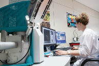 TTS泰得思革新N15离型膜技术，解决食品内包装剥离难题(图3)