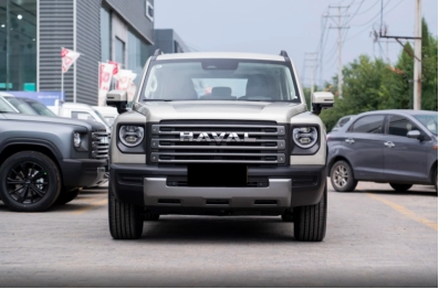 20万左右预算必看新能源车推荐，谁是性价比之王(图3)