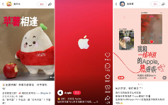 苹果官方账号正式入驻小红书，首日吸粉17万(图2)