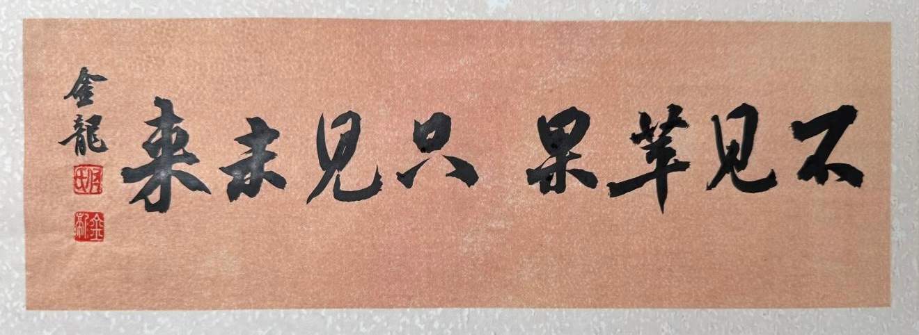 不见苹果，只见未来。(图4)