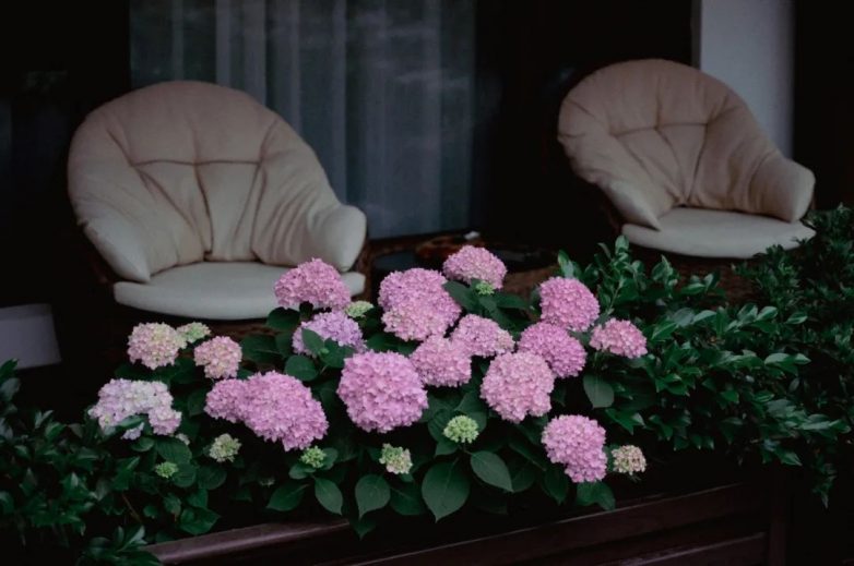 逃离城市计划：在黄山西递泊心云舍醒来，推窗便是江南旧梦(图16)