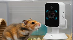 宠智灵AI硬件模组赋能摄像头，打造全场景异宠管理方案(图2)