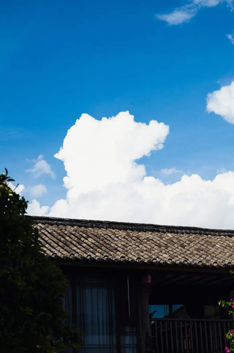 国风民宿，泊心云舍的中式美学(图7)