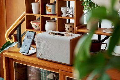 杰科携Q25惊艳2025阳江音响节：Wi-Fi无损黑科技重构音质新标杆(图7)