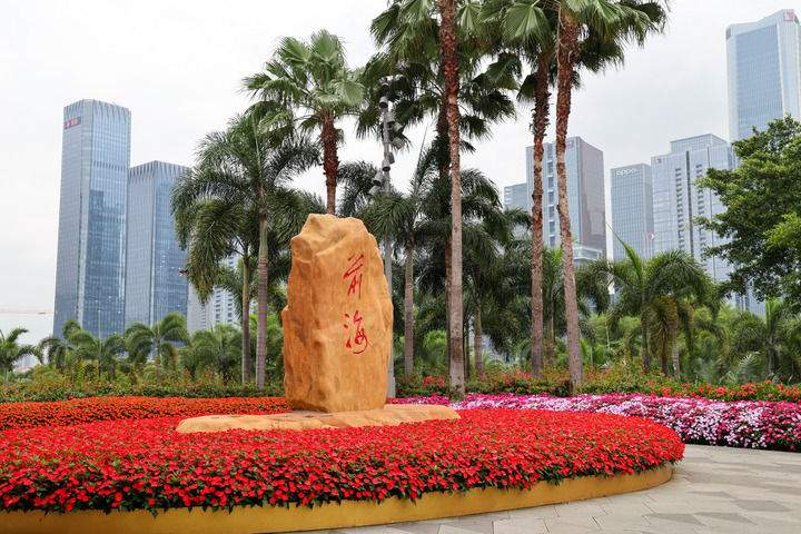 勇立潮头再出发——写在深圳经济特区建立45周年之际(图7)