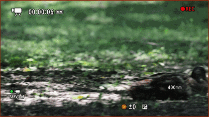 更顺手 更可靠 佳能EOS R1 Ver1.1.2固件体验评测(图13)