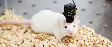 多款科技新品数贸会全球首发 这家西湖国企为什么能？(图4)