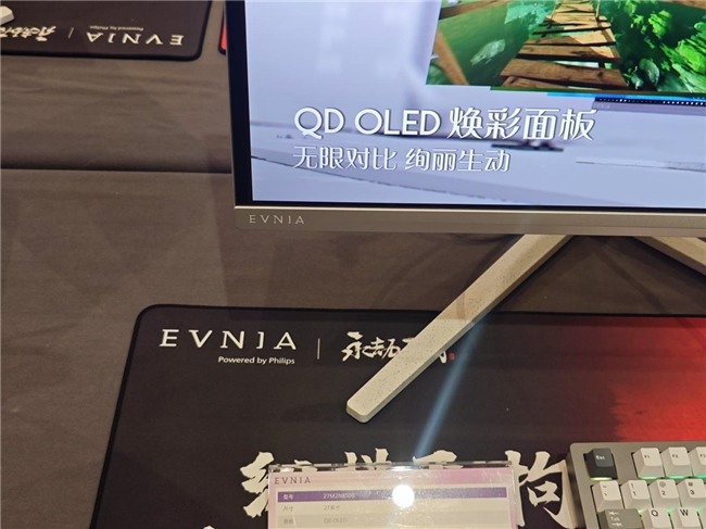 AI焕视，E飞冲天——2025年飞利浦显示器全国操盘手大会隆重召开！(图30)