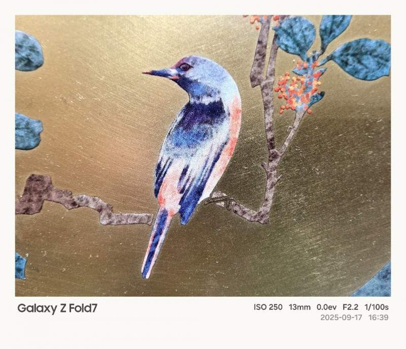 折叠科技碰撞古巷韵味 三星Galaxy Z系列用影像解锁成都新视界(图8)