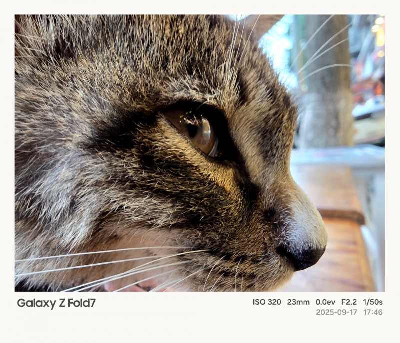 折叠科技碰撞古巷韵味 三星Galaxy Z系列用影像解锁成都新视界(图9)