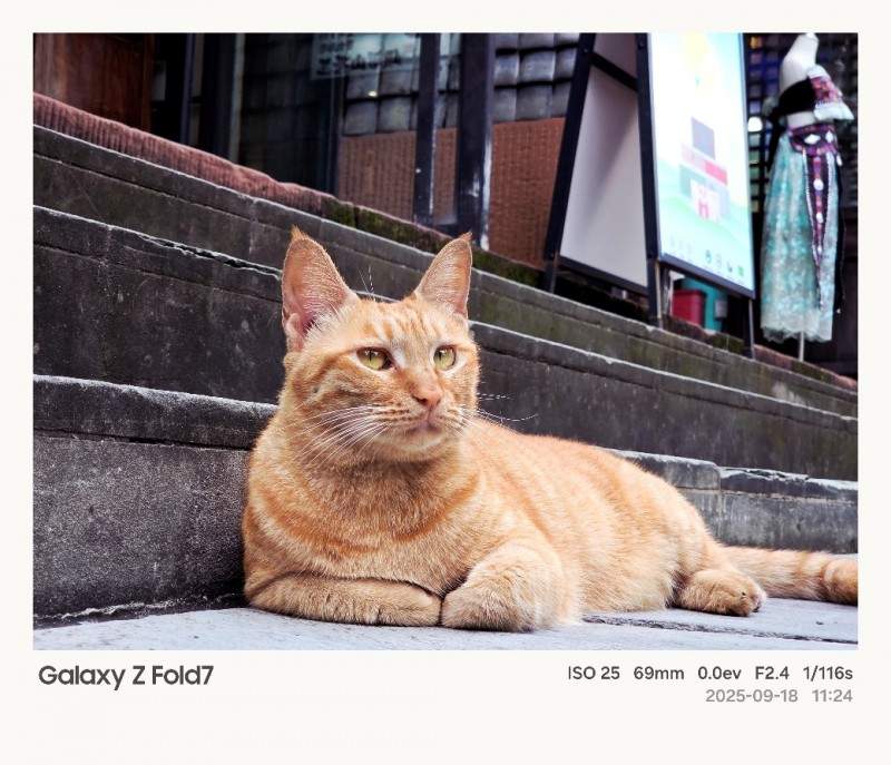 折叠科技碰撞古巷韵味 三星Galaxy Z系列用影像解锁成都新视界(图14)