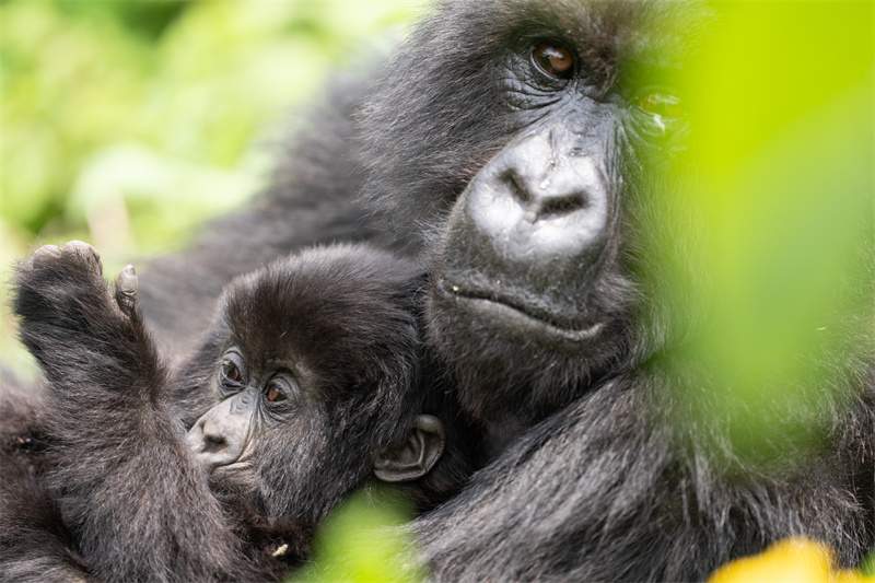 雕刻光影 制胜瞬间：索尼微单十五周年特别摄影展亮相集美·阿尔勒(图6)