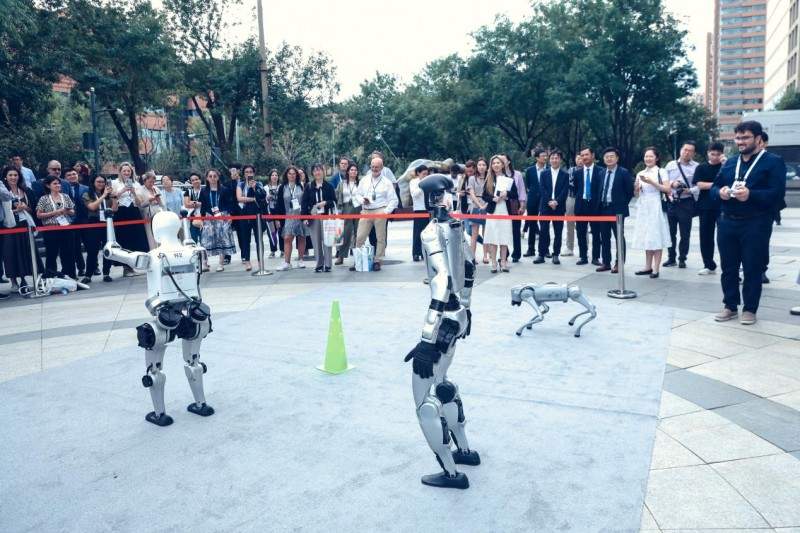 三封感谢信！ 来自IASP2025年世界大会筹办工作办公室(图6)