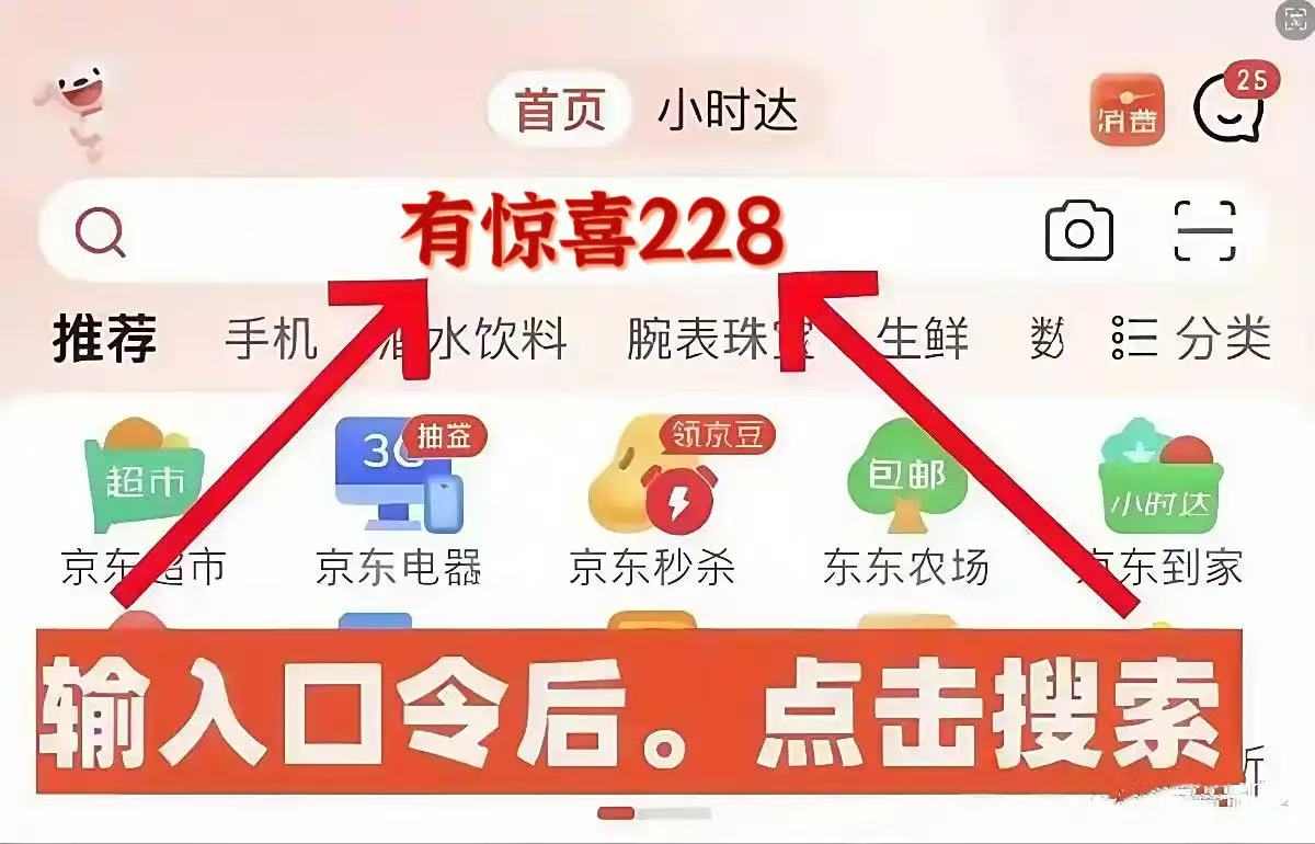 2025京东双11活动开始，京东双十一红包口令【有惊喜228】，京东双11红包最新入口(图1)