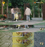 慢生活“轻出行”兴起：绿源携手《向往的生活》解锁“治愈系”骑行场景(图2)