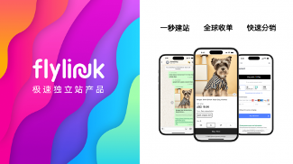 FlyLink 以创新商业模式入选世界互联网大会跨境电商实践案例集(图2)
