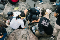 德国卡赫积极参与“世界清洁日”活动，以实际行动奏响环保最强音(图4)