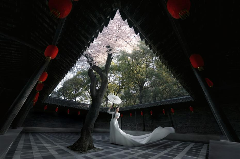 转折与新生：屡获国际大奖的婚礼摄影师与索尼微单的相遇(图3)