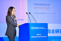 “创新无界：香港NAMI与苏州共筑材料未来”科技成果推介会成功举办(图3)