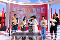 天猫双11超级发布：一场好玩又好逛的品牌盛宴(图5)