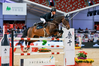 如何进行葡萄酒挑选，长城桑干与马术大师赛并肩同行(图1)