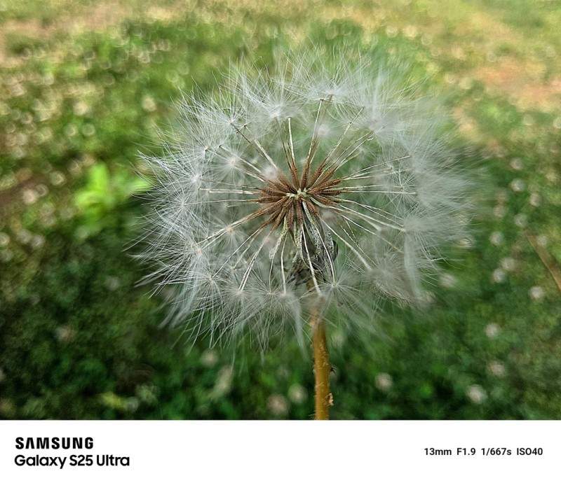 双11优惠上线 三星Galaxy S25系列换机不犹豫(图3)