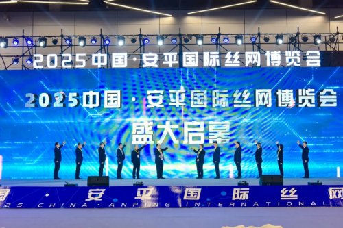 全球精英聚安平 共赴“智造”之约(图2)