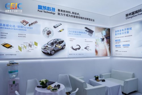 在CEIC 2025消费电子创新大会感受科技的温度(图8)