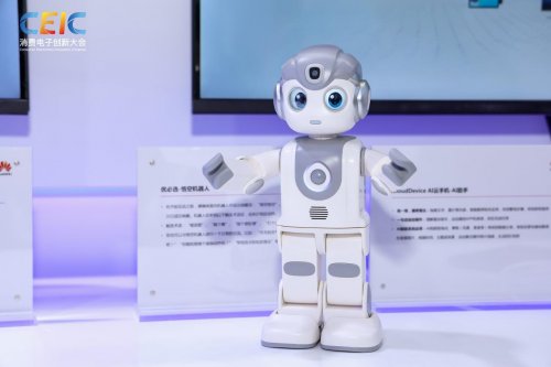 在CEIC 2025消费电子创新大会感受科技的温度(图9)