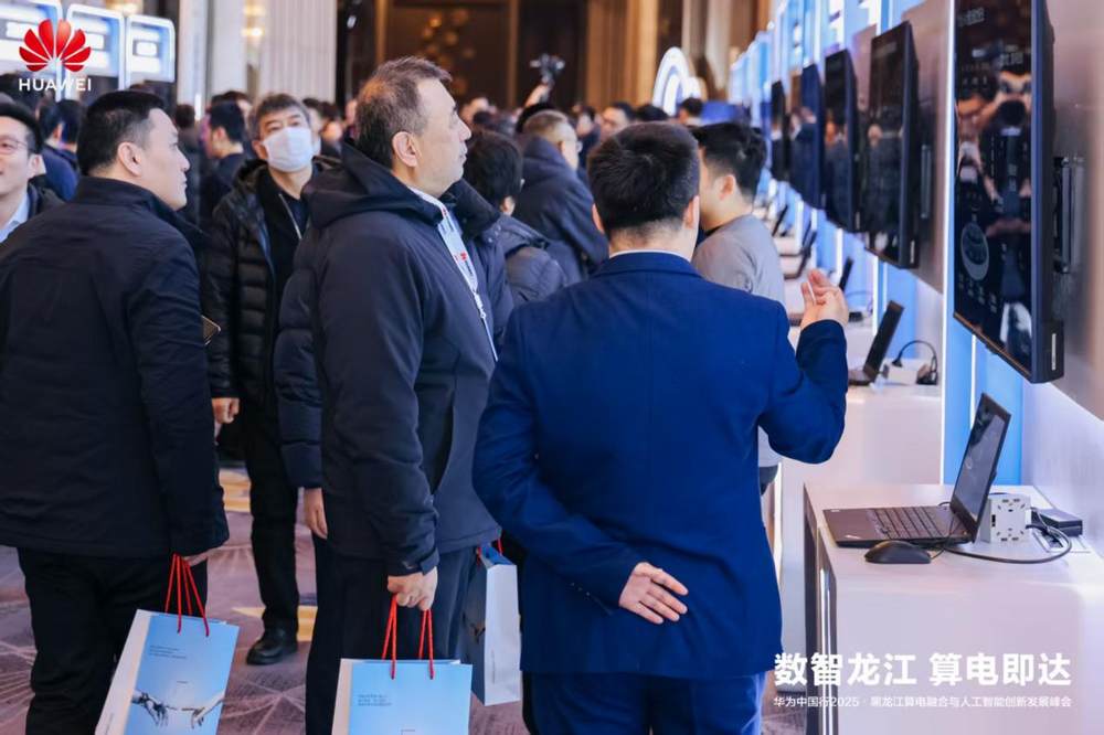 华为中国行2025·黑龙江算电融合与人工智能创新发展峰会成功举办(图18)