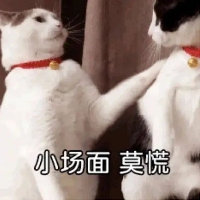 第五代骁龙8如何凭借全自研内核成就全能旗舰(图12)