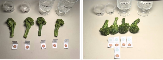 实验室级纯净+天然矿化：知乎答主评审团硬核拆解格力“6个9”锌矿水净水机(图8)
