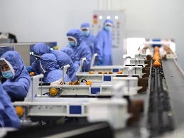 一家外企的向善力量(图3)