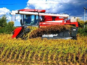 一家外企的向善力量(图5)