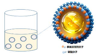 胶原版图再拓边！聚源生物发布行业首款油溶胶原，开启跨相技术新航道(图6)