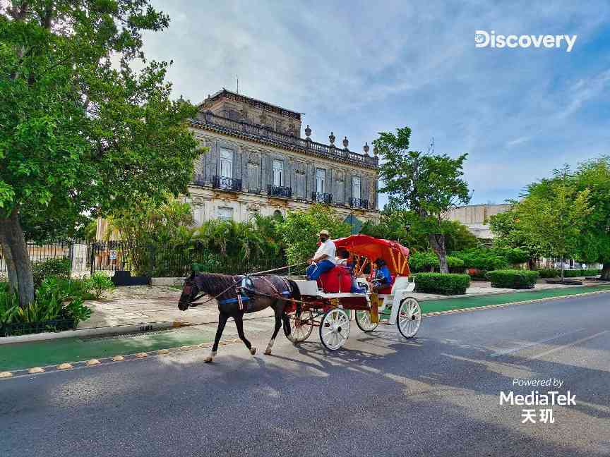 计算摄影加持艺术表达,联发科携手Discovery开启移动影像新旅程(图3) 计算摄影加持艺术表达,联发科携手Discovery开启移动影像新旅程(图3)
