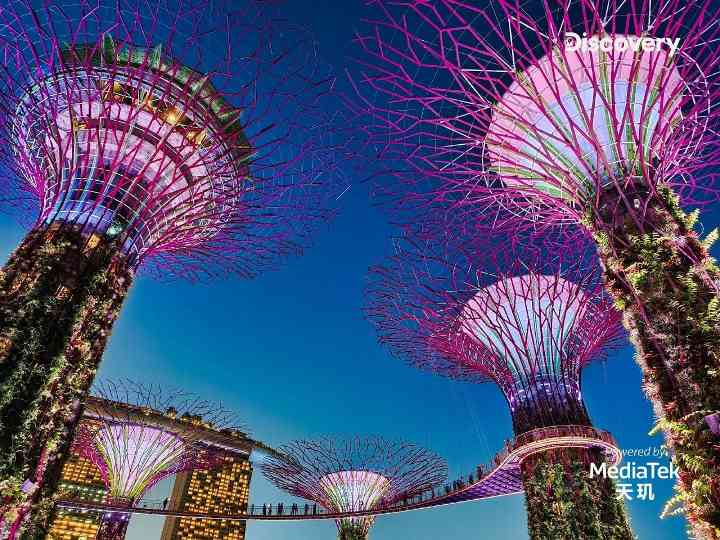 计算摄影加持艺术表达,联发科携手Discovery开启移动影像新旅程(图4) 计算摄影加持艺术表达,联发科携手Discovery开启移动影像新旅程(图4)