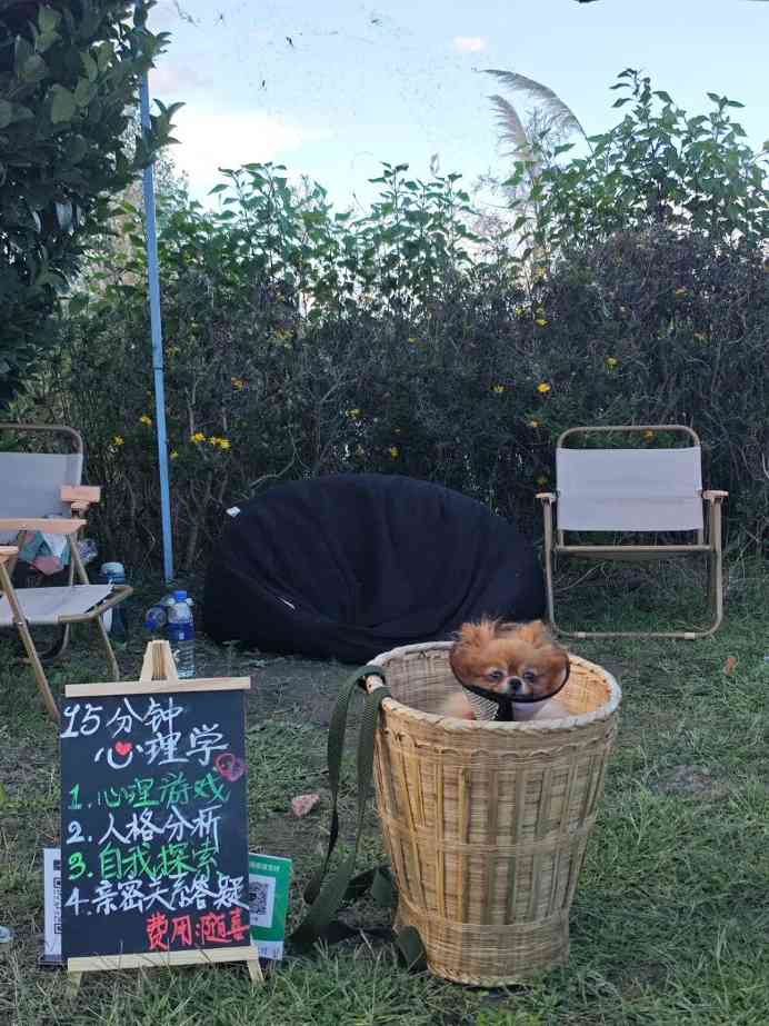 Soul兴趣主理人：从接骨医师到心灵接线员(图5)