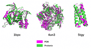 昇思人工智能框架峰会 | MindSpore Protenix 蛋白质结构预测模型的性能优化技术，助力训推性能提升50%+(图1)